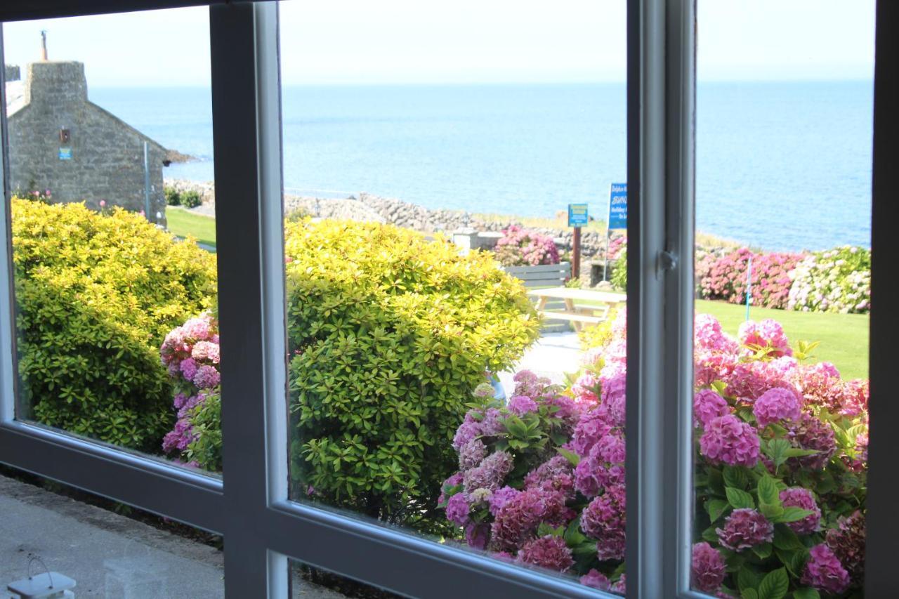 Dolphin Watch Wild Atlantic Way Villa Fanore Luaran gambar