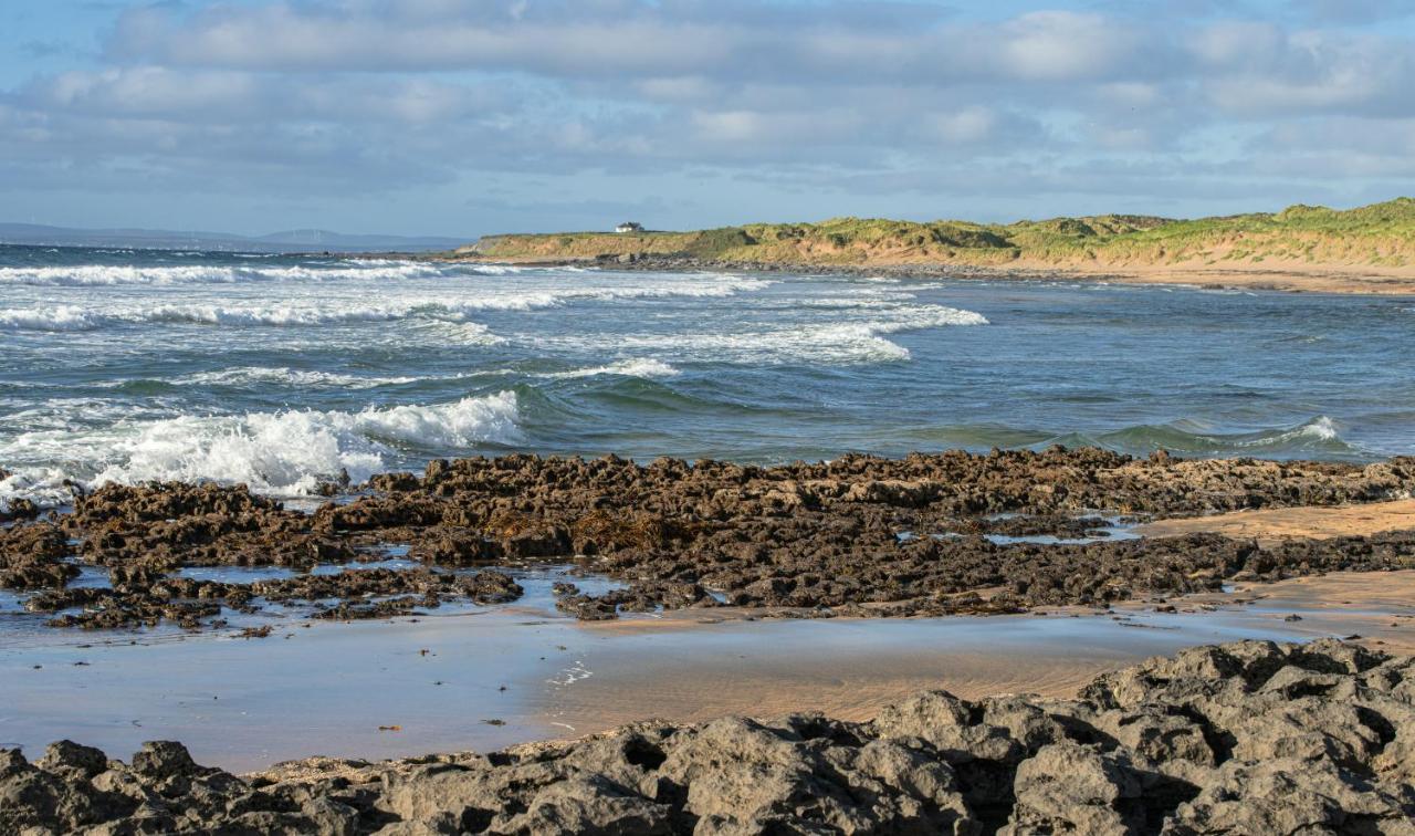 Dolphin Watch Wild Atlantic Way Villa Fanore Luaran gambar