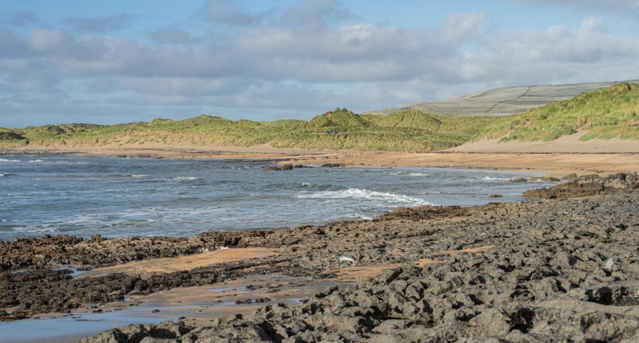 Dolphin Watch Wild Atlantic Way Villa Fanore Luaran gambar