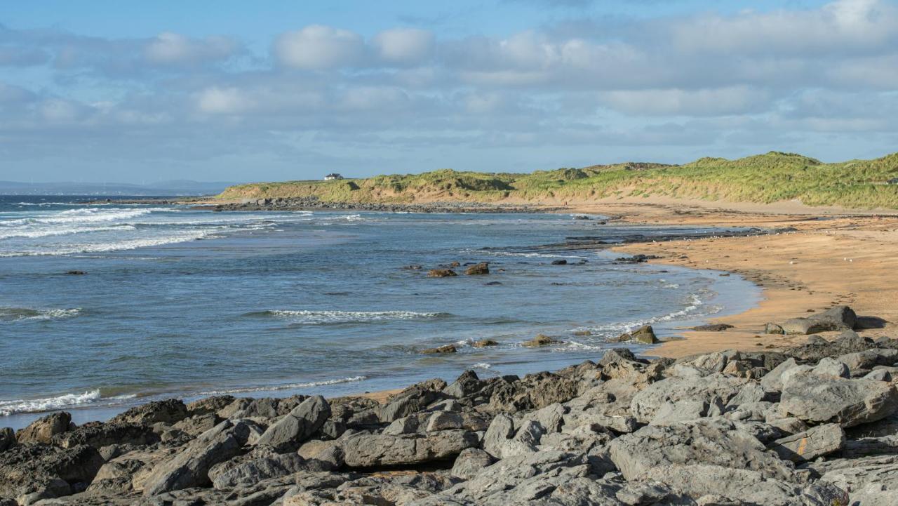 Dolphin Watch Wild Atlantic Way Villa Fanore Luaran gambar