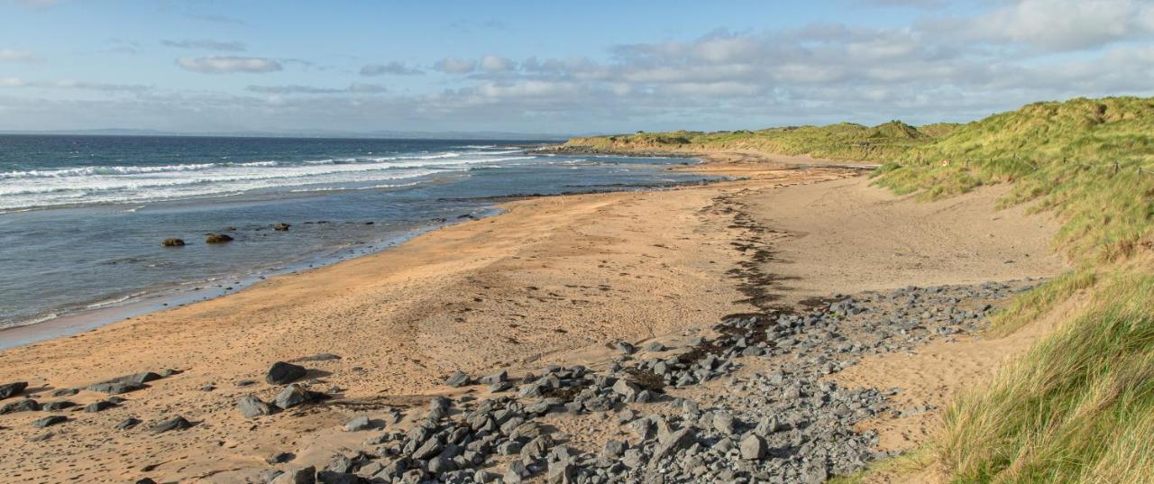 Dolphin Watch Wild Atlantic Way Villa Fanore Luaran gambar