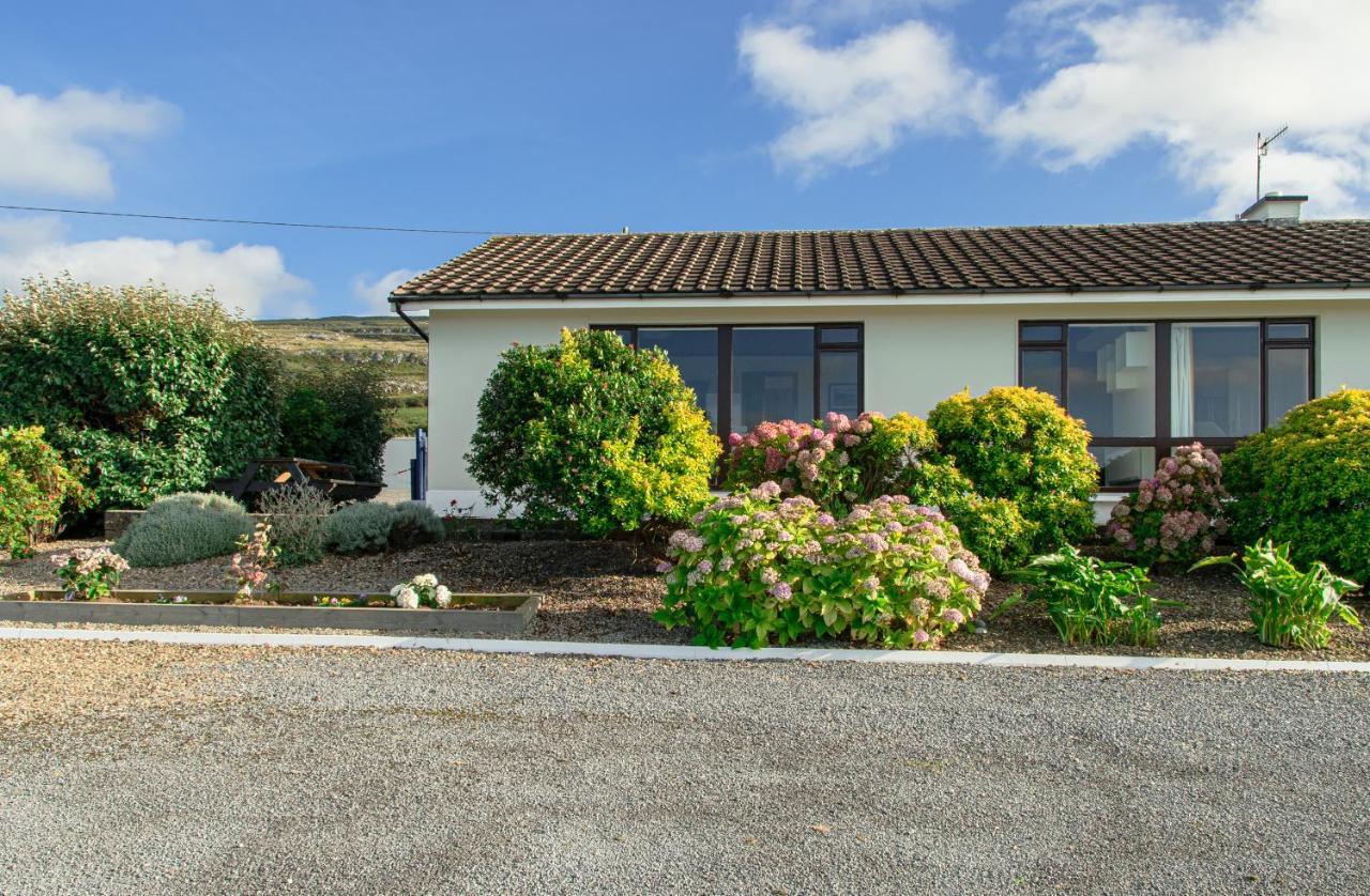 Dolphin Watch Wild Atlantic Way Villa Fanore Luaran gambar