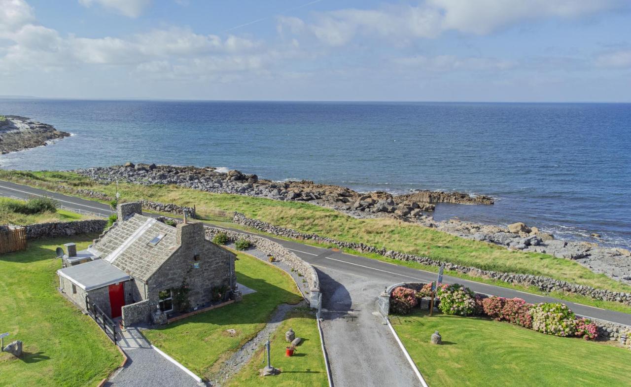 Dolphin Watch Wild Atlantic Way Villa Fanore Luaran gambar