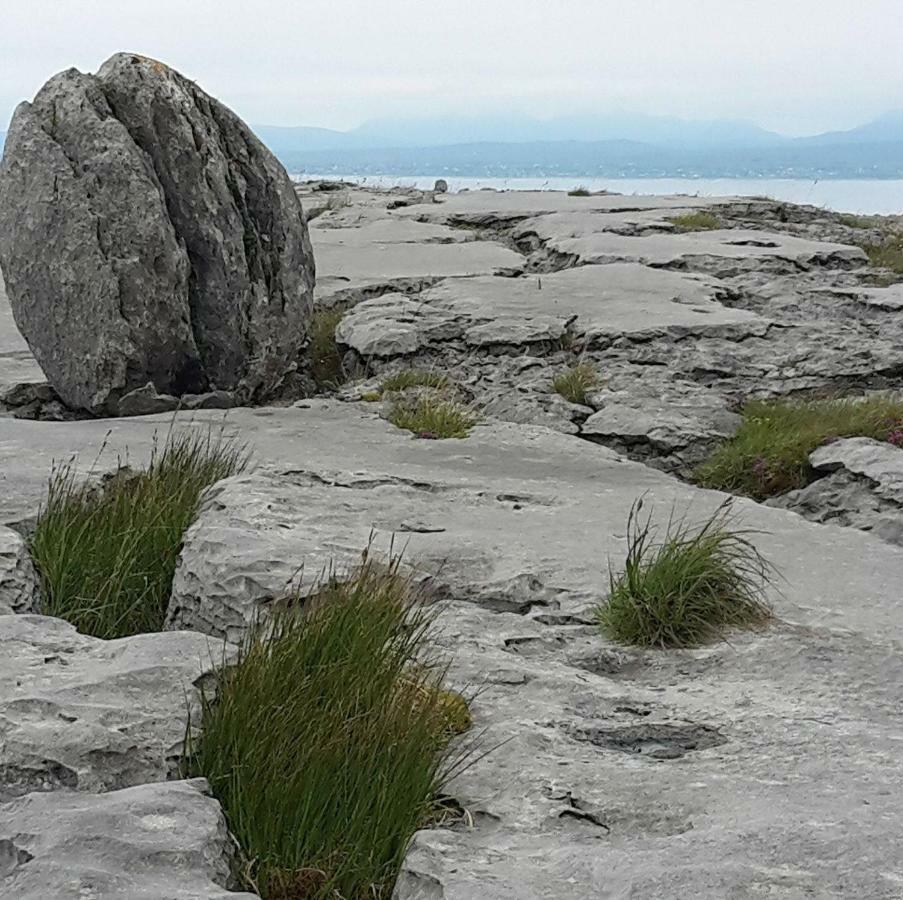 Dolphin Watch Wild Atlantic Way Villa Fanore Luaran gambar